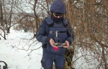 В зоне ООС за неделю изъяли и обезвредили почти 260 взрывоопасных предметов