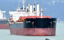 Diplomats trying to help two corona-positive Ukrainians stuck on bulk carrier off Malaysia coast