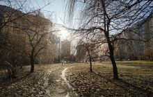 Аномальное тепло не покидает Украину: во вторник будет до +13° (карта)