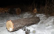 Под Мариуполем полицейский застрелил директора рынка, сын которого незаконно рубил лес: версии сторон и фото