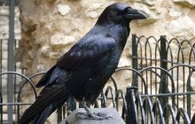 15 апреля: народный праздник, традиции и запреты