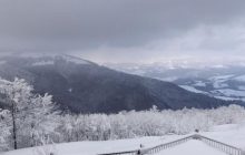 В Карпатах из-за метели объявили III уровень опасности (карта)