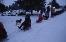 На Хмельниччині створили рекордний "потяг" із санчат (відео)