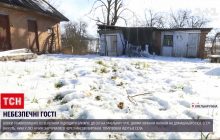 "Это ужас!": на Хмельнитчине волки держат в страхе сразу несколько сел (видео)