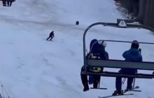 Погоня медведя за лыжником в Румынии попала на видео