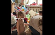 В Харькове детей кормили убитыми прямо в квартире собаками – блогер (видео)
