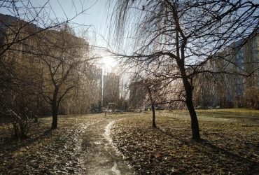 Аномальне тепло не покидає Україну: у вівторок буде до +13° (карта)