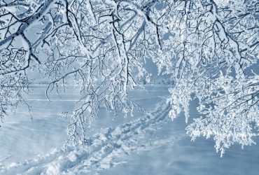 Морози в Україні досягнуть -22°: синоптик розповів, де буде найхолодніше