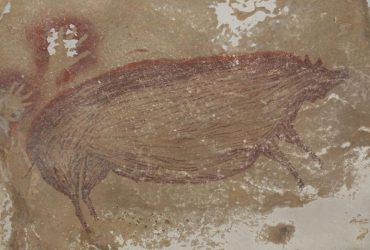 Scientists have found the oldest drawing of an animal, it is more than 45 thousand years old (photo)