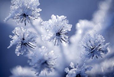 Морози посилюватимуться: синоптик Діденко попередила про похолодання в Україні