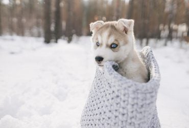 На вихідних в Україну увірветься різке похолодання до -10° (карта)