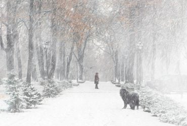 Остання неділя року буде в Україні зі снігом та штормовим вітром, - синоптикиня Діденко