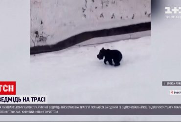 На лижному курорті в Румунії ведмідь добряче налякав туристів