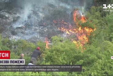 В Аргентині загорівся ліс біля популярного туристичного регіону