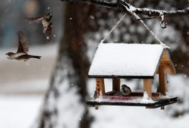 Синоптик дал точный прогноз на январь и назвал даты похолодания в Украине
