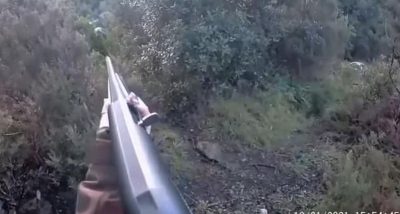 нападение кабана на охоте видео