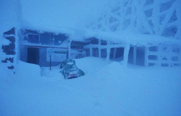 Туристов просят оставаться дома: в Карпатах - сильная метель, видимости нет (фото, видео)