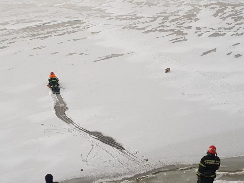 В Овидиополе пасатели экстремально добирались до лебедя / фото od.dsns.gov.ua