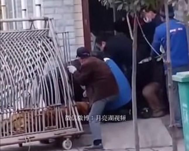 На записі видно, як група колег намагається вивільнити ногу чоловіка / скріншот з відео На записі видно, як група колег намагається вивільнити ногу чоловіка / скріншот з відео