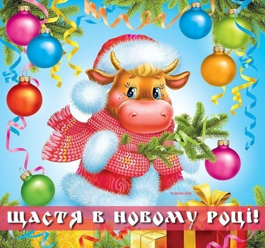 Новий рік у Китаї / фото krainau.com