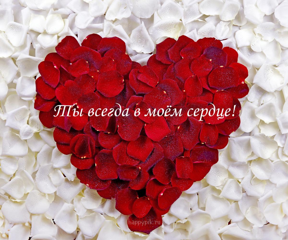 День всех влюбленных - поздравления / happypik.ru