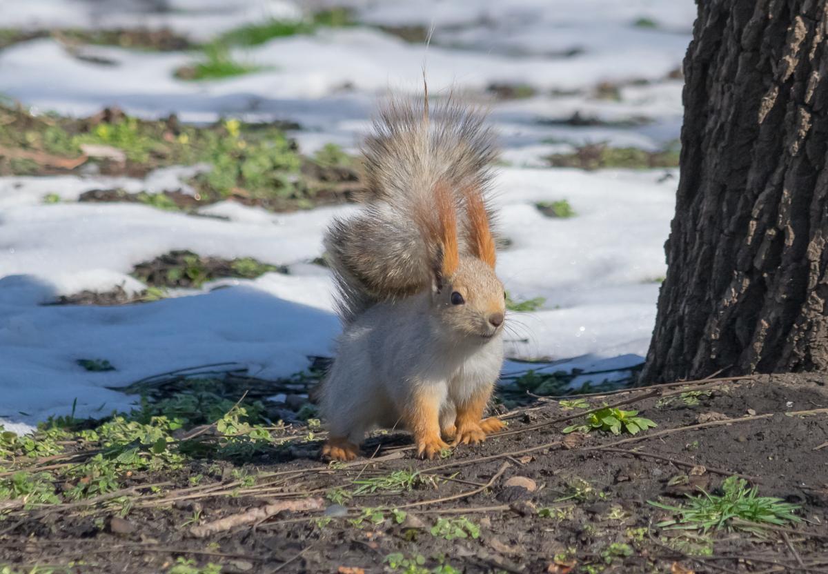 Погода на вихідних / Фото ua.depositphotos.com Погода на вихідних / Фото ua.depositphotos.com