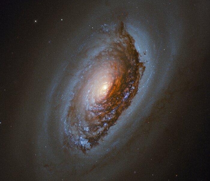 Галактика "лихе око" / фото ESA / Hubble & NASA, J. Lee and the PHANGS-HST Team Галактика "лихе око" / фото ESA / Hubble & NASA, J. Lee and the PHANGS-HST Team