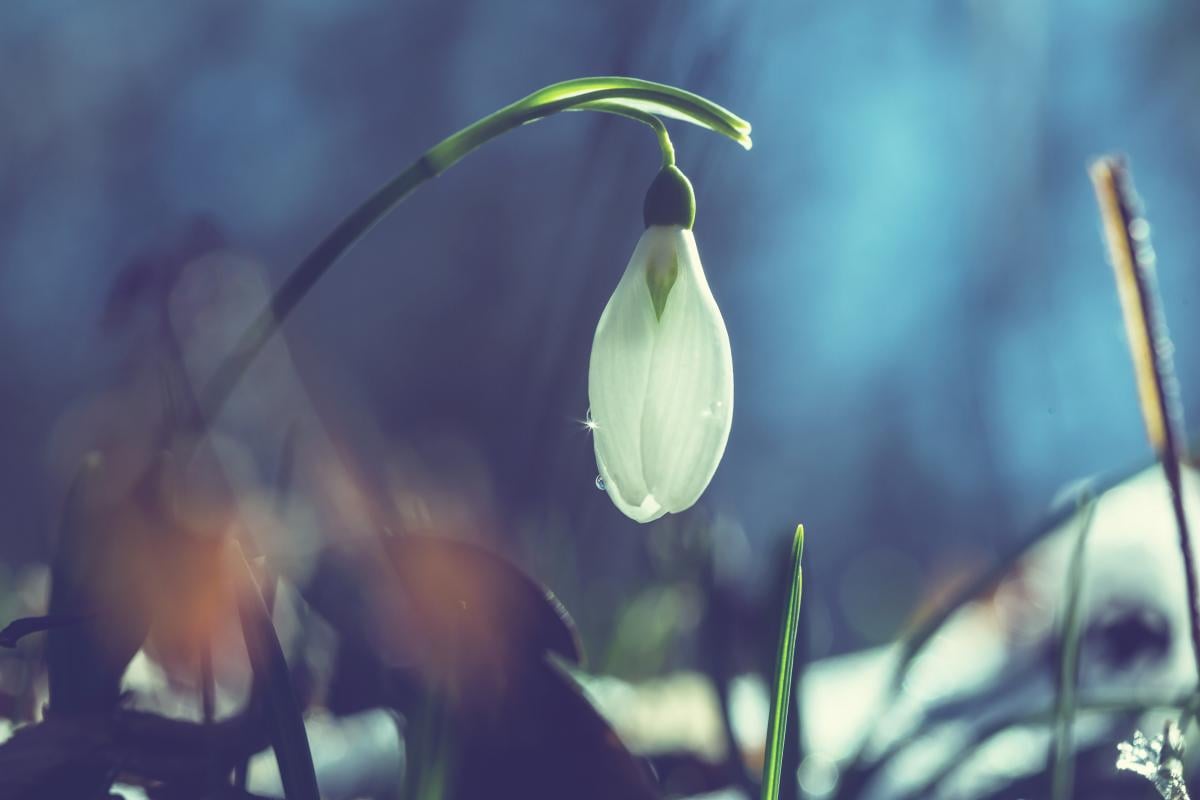 Перед выходными солнце разогреет Украину до +17°