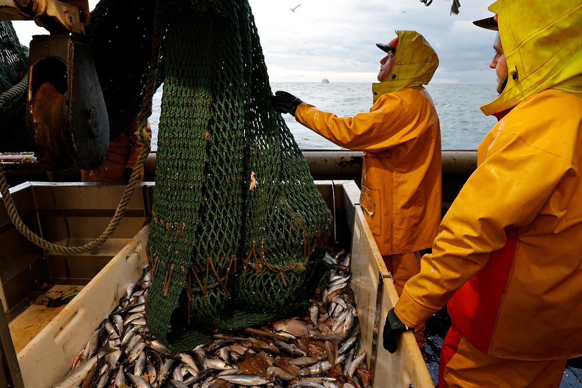 Наразі в Азовському морі відсутній контроль за виловом риби / REUTERS