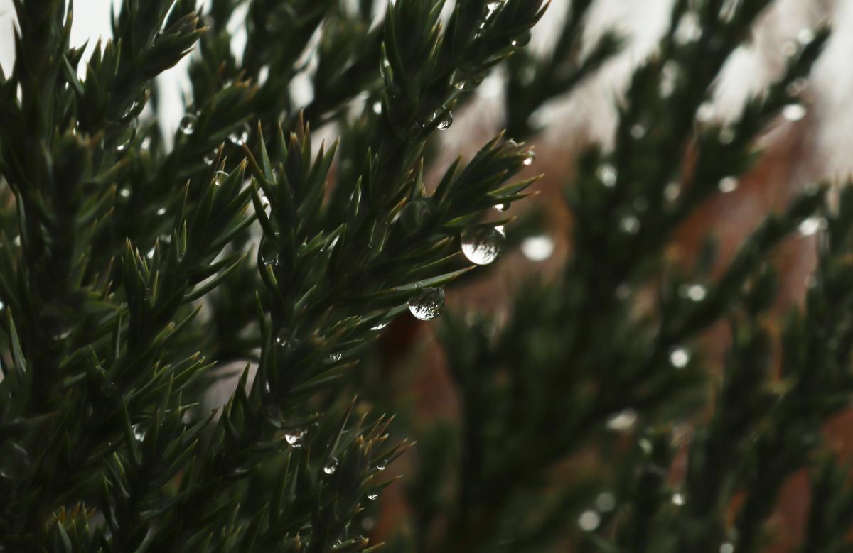 21 лютого низці областей України пройдуть дощі та мокрий сніг / Фото ua.depositphotos.com 21 лютого низці областей України пройдуть дощі та мокрий сніг / Фото ua.depositphotos.com