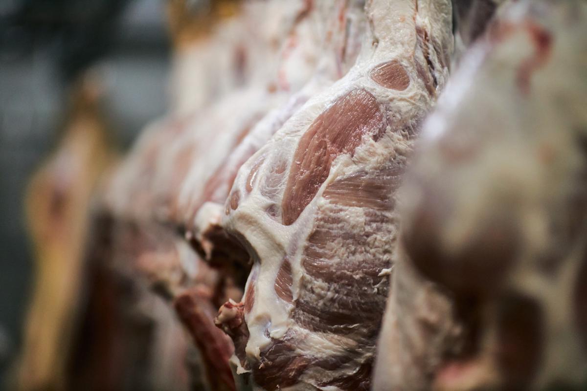 Well Meat: Как в киевской области делают колбасу для крупных торговых сетей Well Meat: Как в киевской области делают колбасу для крупных торговых сетей