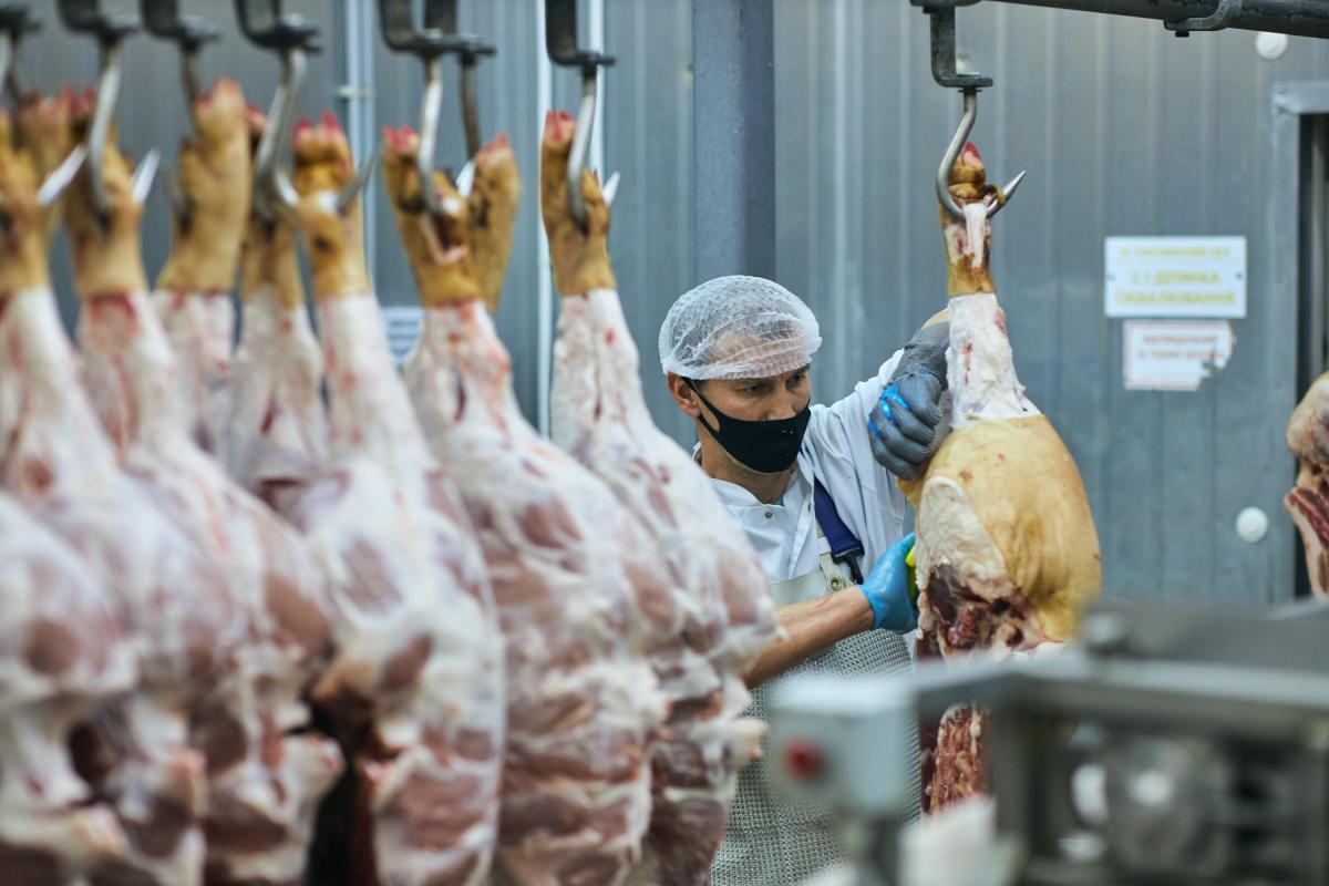 Well Meat: Как в киевской области делают колбасу для крупных торговых сетей Well Meat: Как в киевской области делают колбасу для крупных торговых сетей