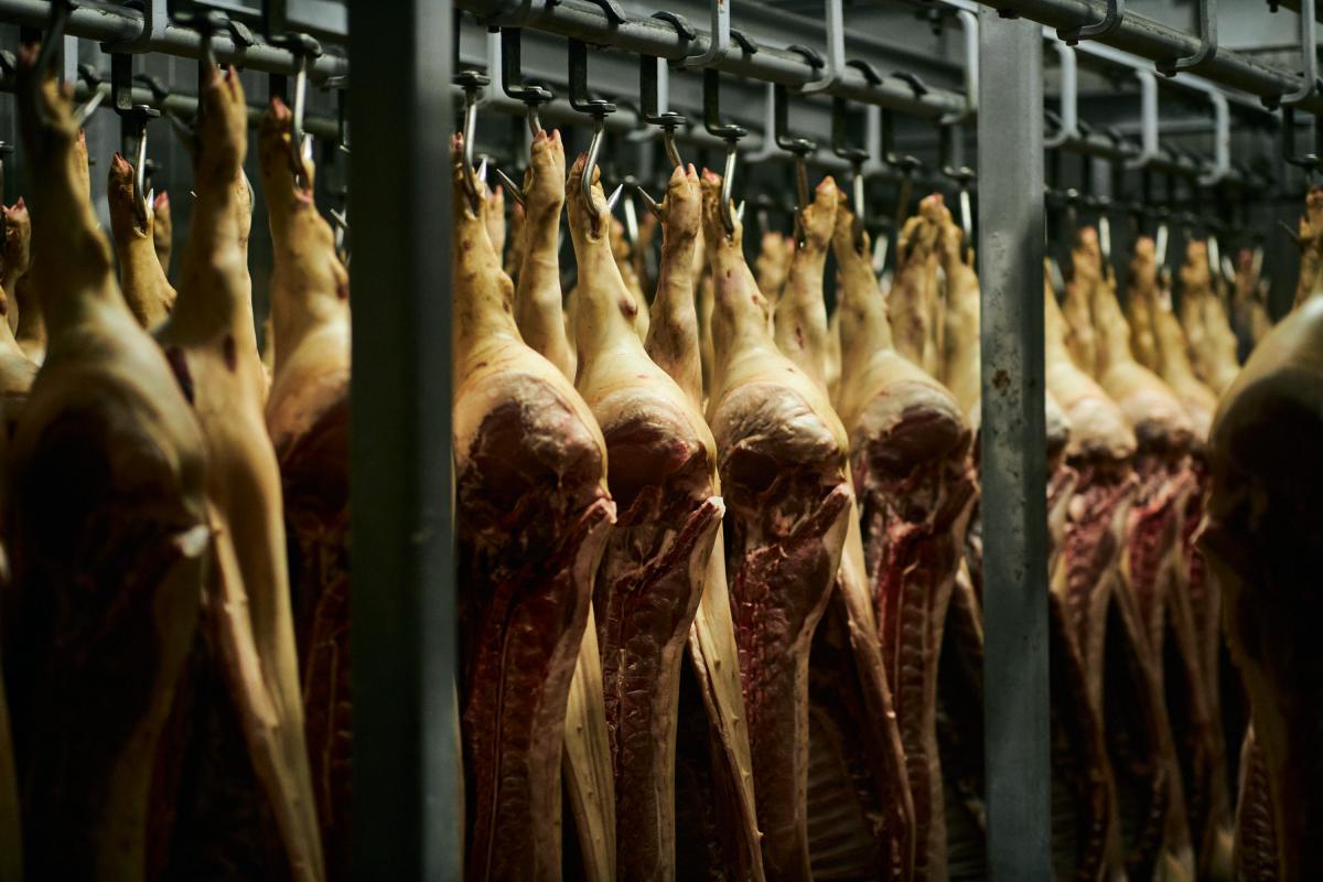 Well Meat: Как в киевской области делают колбасу для крупных торговых сетей Well Meat: Как в киевской области делают колбасу для крупных торговых сетей
