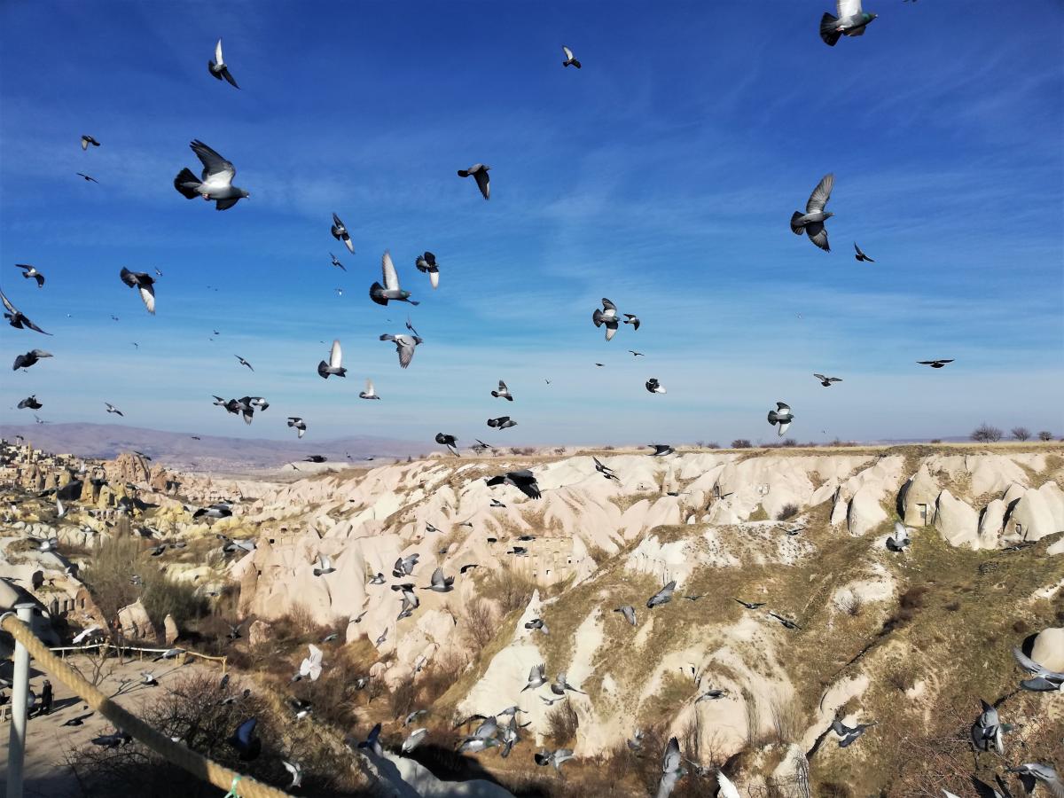 Долина голубей в Каппадокии / фото Марина Григоренко