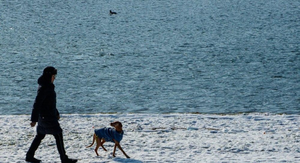COVID-19 in Ukraine - Number of new active cases again exceeds 8,000 — UNIAN - Vimarsana News
