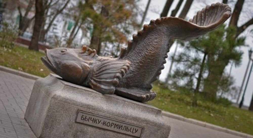 "Золотий бичок". Як і чому в Азовському морі зникає риба