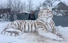 В Одесской области девушка слепила огромного снежного тигра (фото)