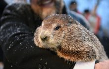 День сурка 2023: особенности, традиции и история веселого праздника
