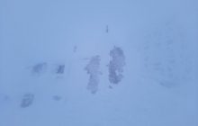 Карпаты накрыла метель, видимости практически нет (фото)