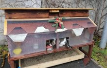 Оставили животных в мороз без приюта: из столичного ЖК украли домик для котов (фото)