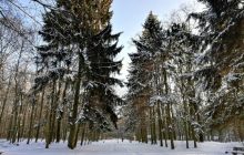 В Минприроды назвали причины изменения климата в Украине