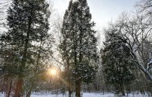 Сьогодні температура в Україні впаде до -16°: де буде найхолодніше (карта)