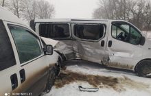Под Тернополем легковушка влетела в минибус, пострадали семь человек (фото)