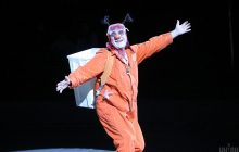 Не вуличне шапіто: в Мінкульті обурені хейтом відносно бронювання працівників цирку