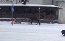 На Львівщині комунальник запряг коня в сани для прибирання снігу (відео)