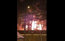 Пожар в элитной Конча-Заспе попал на видео