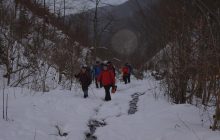 Пішла третя доба: у Карпатах продовжують шукати загубленого туриста (відео)