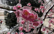 Народные традиции и приметы 27 февраля - что нельзя делать на Кирилла-Весноуказчика