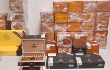 Груз на 4 миллиона гривень: китайцы пытались провезти через таможню препараты из яда голубого скорпиона