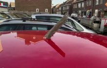 У Нідерландах двигун літака зруйнувався в польоті: уламки впали на землю і травмували людей (відео)